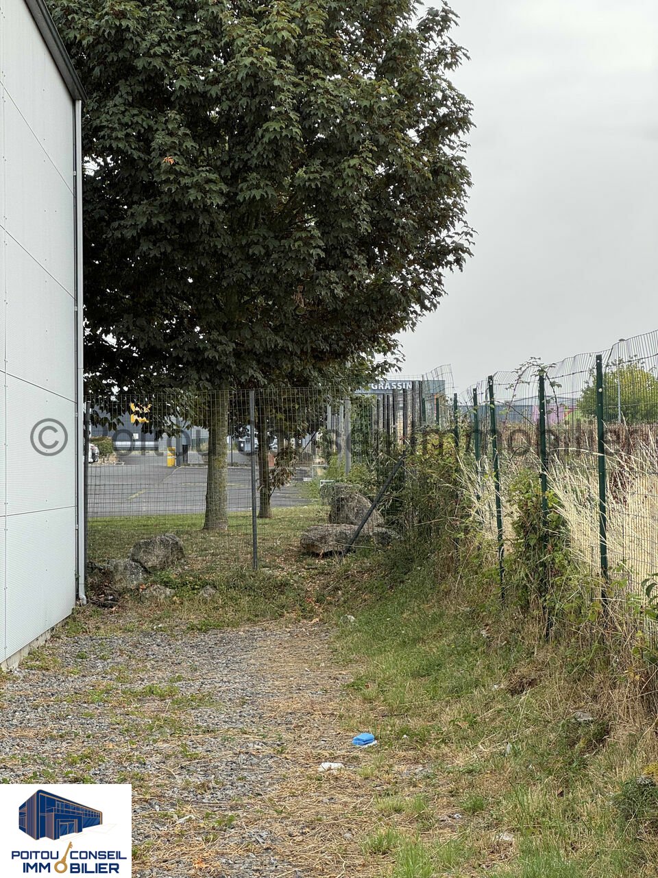 983824184_79_0013_12-1